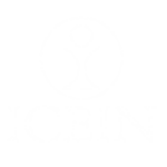 ICEIN